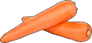Carrot
