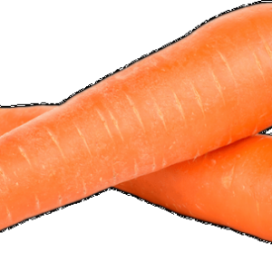 Carrot