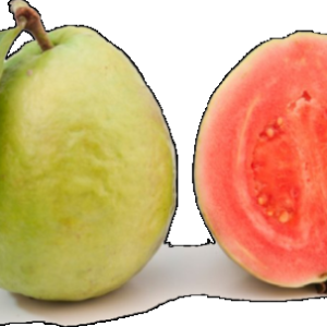 Guava